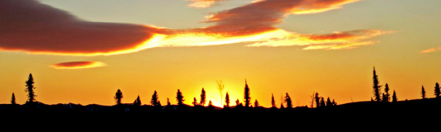 Sunset Over the Trees